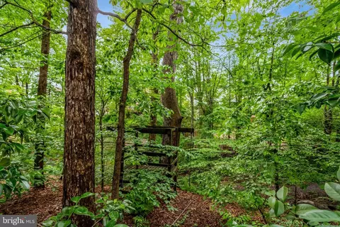 7006 Maple Tree Ln, Springfield, VA 22152 photo 47