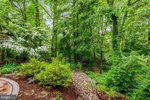 7006 Maple Tree Ln, Springfield, VA 22152 photo 41