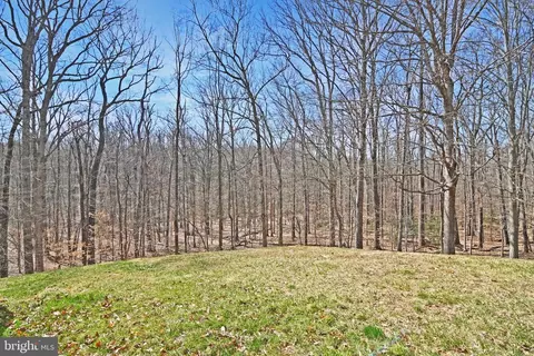 8090 Steeple Chase Ct, Springfield, VA 22153 photo 39