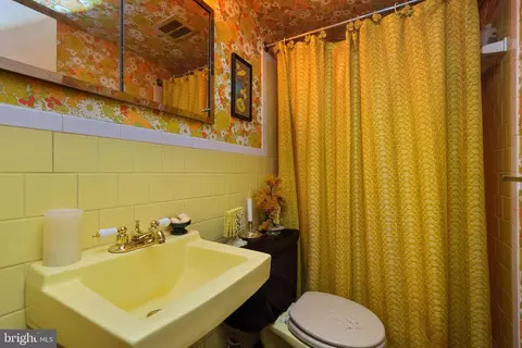 6730 Deland Dr, Springfield, VA 22152 photo 26