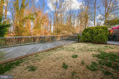 6730 Deland Dr, Springfield, VA 22152 photo 34
