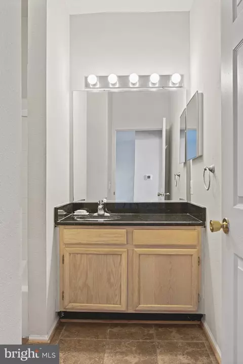 1601 Spring Gate Dr #1305, Mclean, VA 22102 photo 15