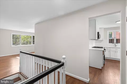 5517 Southampton Dr, Springfield, VA 22151 photo 3