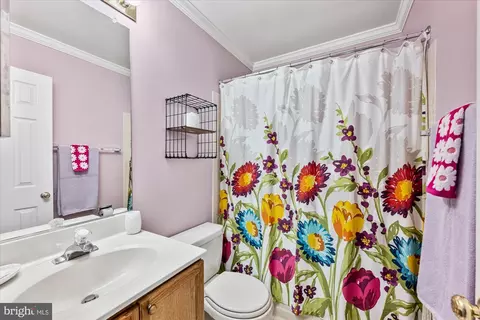 7203 Burton Hill Ct, Springfield, VA 22152 photo 29