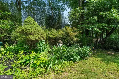 7007 Gillings Rd, Springfield, VA 22152 photo 45