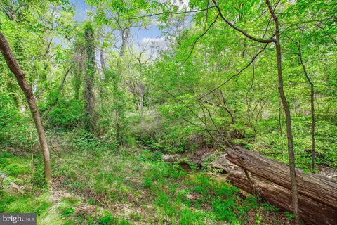 6626 Byrns Pl, Mclean, VA 22101 photo 46