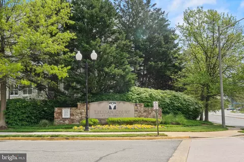 1641 International Dr #TH-20, Mclean, VA 22102 photo 54