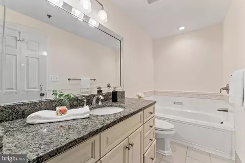 1641 International Dr #TH-20, Mclean, VA 22102 photo 30