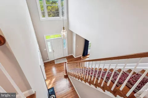 9012 Avis Ct, Vienna, VA 22182 photo 39