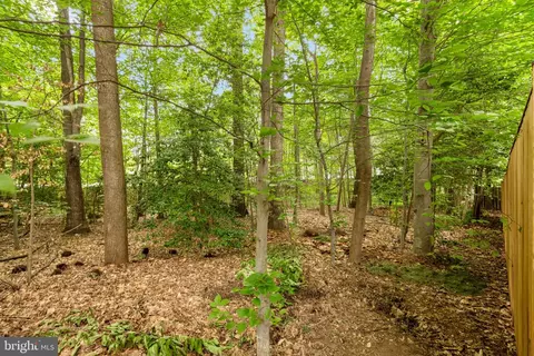 Exterior - 9206 Northedge Dr, Springfield, VA 22153 photo 13 of 14