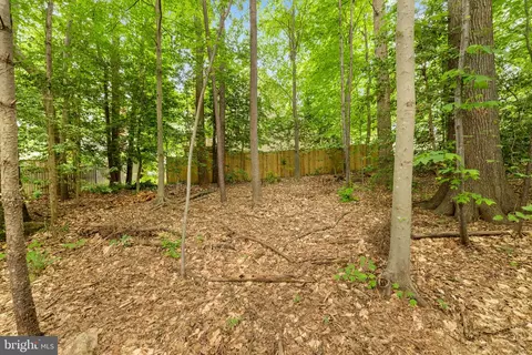 Exterior - 9206 Northedge Dr, Springfield, VA 22153 photo 12 of 14