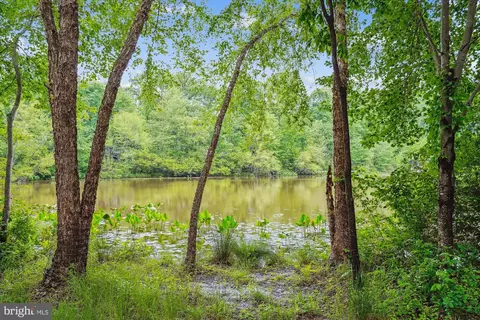 View/Area - 1145 Water Pointe Ln, Reston, VA 20194 photo 1 of 5