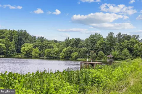 View/Area - 1145 Water Pointe Ln, Reston, VA 20194 photo 3 of 5