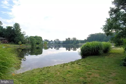 View/Area - 1145 Water Pointe Ln, Reston, VA 20194 photo 4 of 5
