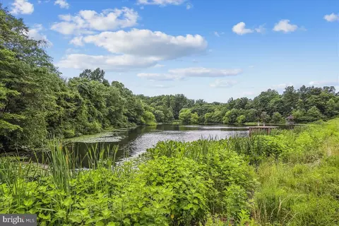 View/Area - 1145 Water Pointe Ln, Reston, VA 20194 photo 2 of 5