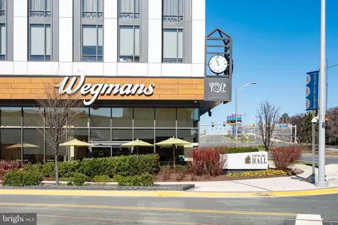 1530 Spring Gate Dr #9423, Mclean, VA 22102 photo 54