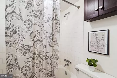 11219 S Shore Rd, Reston, VA 20190 photo 34