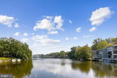 11219 S Shore Rd, Reston, VA 20190 photo 41