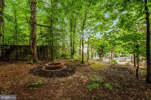 8451 Catia Ln, Springfield, VA 22153 photo 45