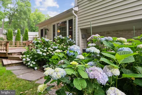 6416 Brentford Dr, Springfield, VA 22152 photo 39
