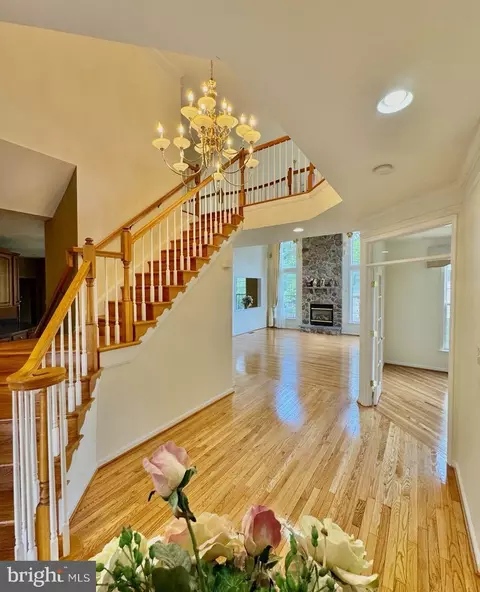 Entry Way - 7615 Mcweadon Ln, Springfield, VA 22150 photo 10 of 13