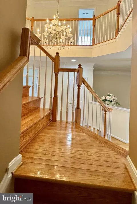 Entry Way - 7615 Mcweadon Ln, Springfield, VA 22150 photo 11 of 13