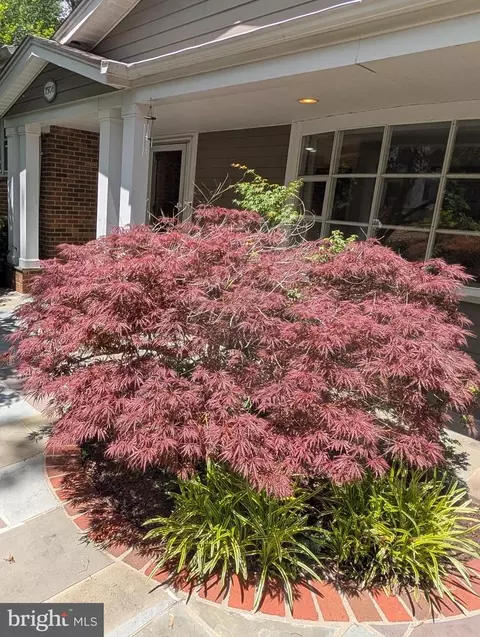 Other - 7506 Box Elder Ct, Mclean, VA 22102 photo 17 of 19