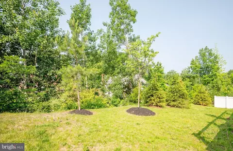 Exterior - 6233 Mcconnell Ln, Springfield, VA 22153 photo 9 of 12
