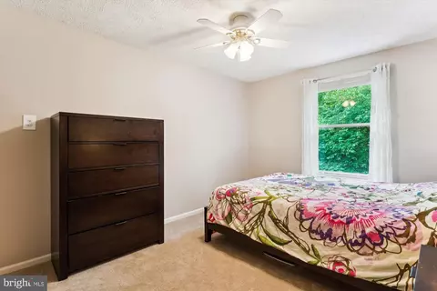 9175 Forest Lawn Ct, Springfield, VA 22152 photo 21