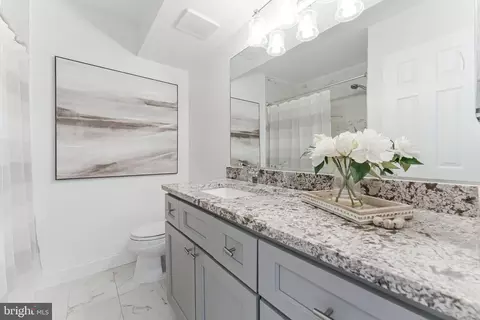 Bath - 2127 Cabots Point Ln, Reston, VA 20191 photo 3 of 4