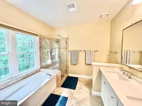 Bath - 1310 Sundial Dr, Reston, VA 20194 photo 3 of 7