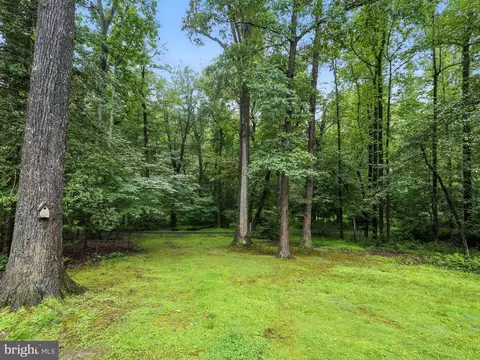 12134 Stirrup Rd, Reston, VA 20191 photo 43