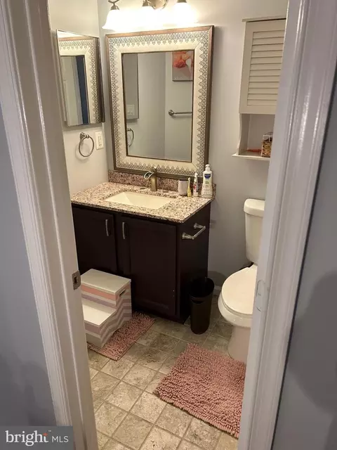 Bath - 8726 Wadebrook Ter, Springfield, VA 22153 photo 2 of 8