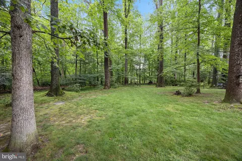 8306 Winslow Ave, Springfield, VA 22152 photo 42