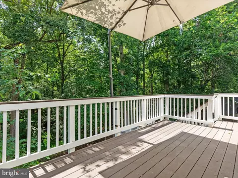 8490 Magic Tree Ct, Springfield, VA 22153 photo 36
