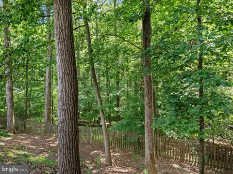 8490 Magic Tree Ct, Springfield, VA 22153 photo 44
