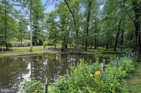 Other - 1740 Proffit Rd, Vienna, VA 22182 photo 16 of 23