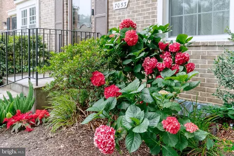 7053 Leewood Forest Dr, Springfield, VA 22151 photo 5