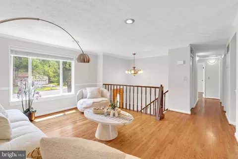 4502 Cub Run Rd, Chantilly, VA 20151 photo 5