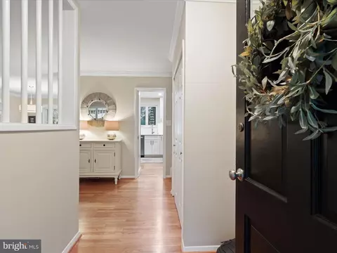 7523 Jervis St, Springfield, VA 22151 photo 3
