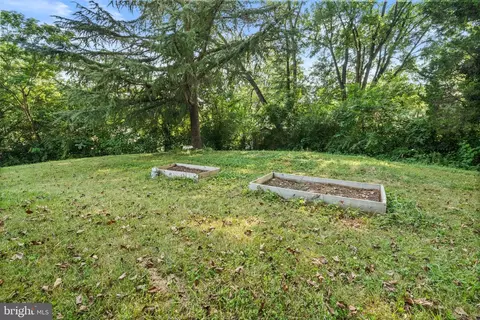 8022 Hatteras Ln, Springfield, VA 22151 photo 28