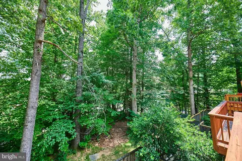7084 Solomon Seal Ct, Springfield, VA 22152 photo 14