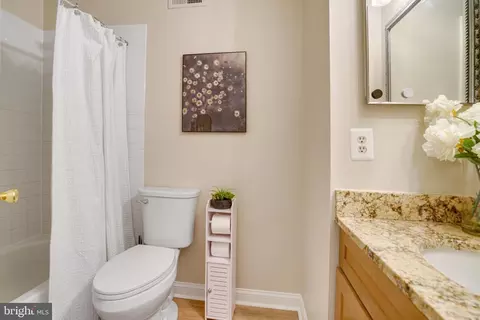 7208 Flower Tuft Ct, Springfield, VA 22153 photo 37
