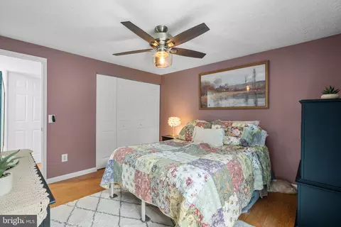 8767 Cold Plain Ct, Springfield, VA 22153 photo 19