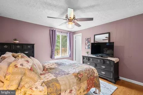 8767 Cold Plain Ct, Springfield, VA 22153 photo 20