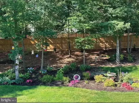 8767 Cold Plain Ct, Springfield, VA 22153 photo 32