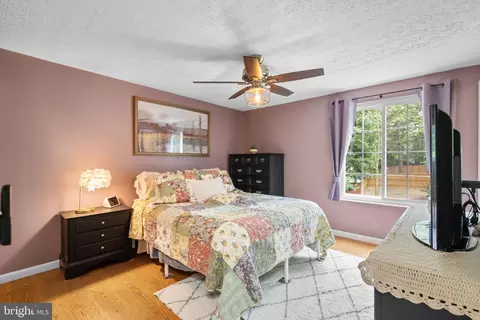 8767 Cold Plain Ct, Springfield, VA 22153 photo 18