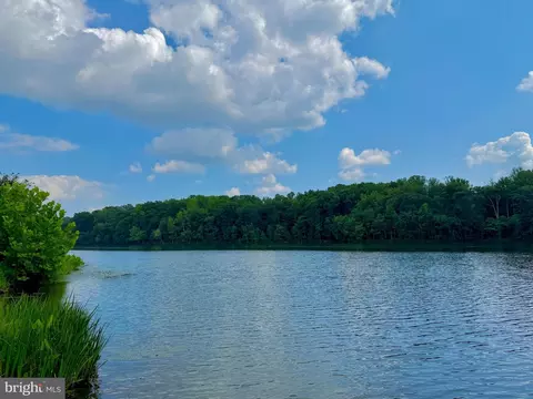 9120 Beachway Ln, Springfield, VA 22153 photo 54