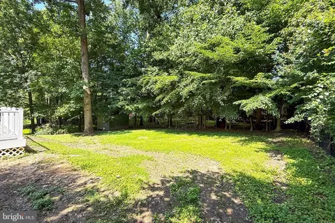 6500 Rivington, Springfield, VA 22152 photo 47