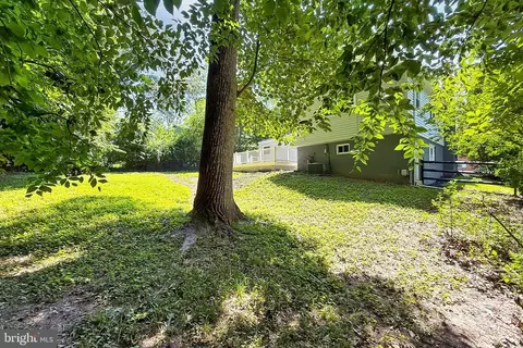 6500 Rivington, Springfield, VA 22152 photo 45
